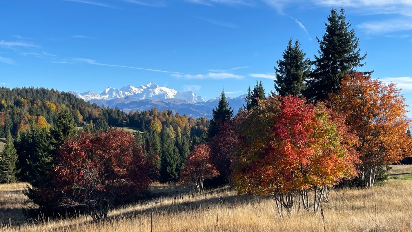 Chambre Serpolet à Taninges (20)