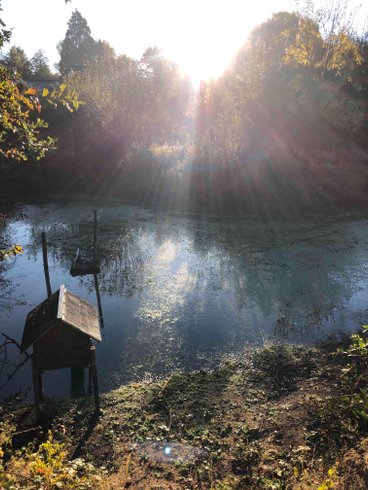 Domaine AbracadaRoom : O z'insolites - Image 2