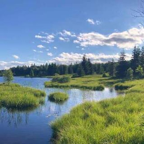 Hébergement AbracadaRoom : Les Logettes de Caroline, Ecolodge & Bain Nordique - Image 40