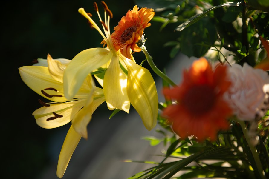 Domaine AbracadaRoom : La Jolie Longère Fleurie - Image 19
