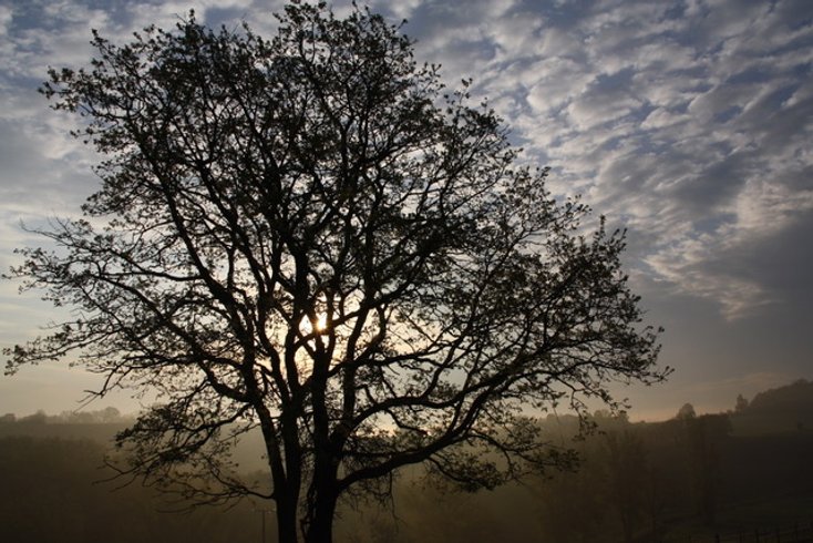 Domaine AbracadaRoom : Domaine Langelet - Image 2