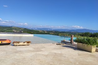 Bulles Bambou, Vignes et Micocoulier