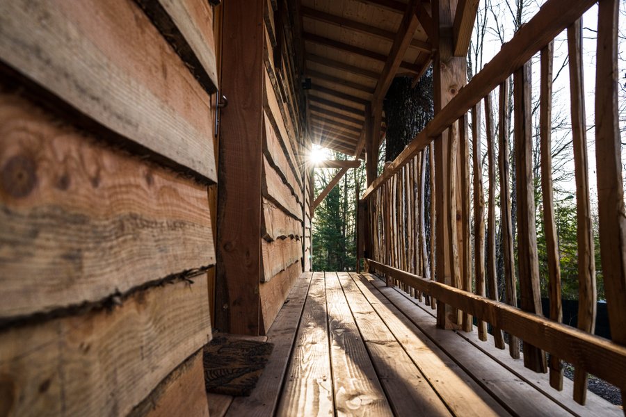 Domaine AbracadaRoom : Cabane Petit Bois - Image 15