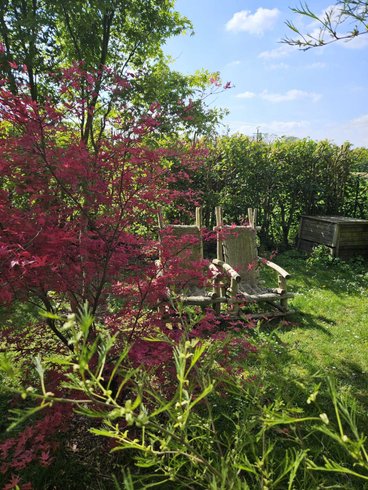 Hébergement AbracadaRoom : La Fée Oursinest - Image 9