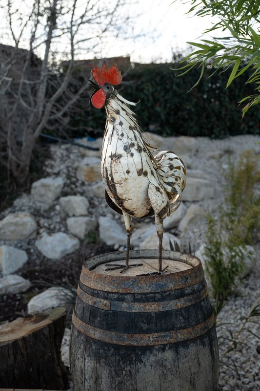 La bulle du coq & Spa à St Martin La Plaine (10)