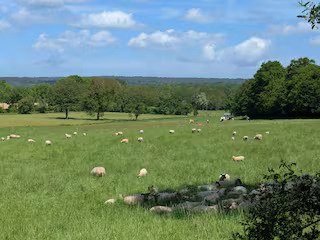 Hébergement AbracadaRoom : Datcha en Brocéliande - Image 28