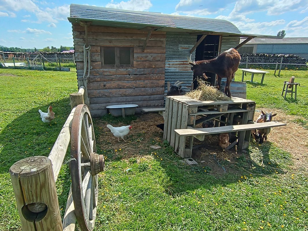 Expérience unique et insolite : Far West & Wallaby à Laperrière Sur Saone (5)