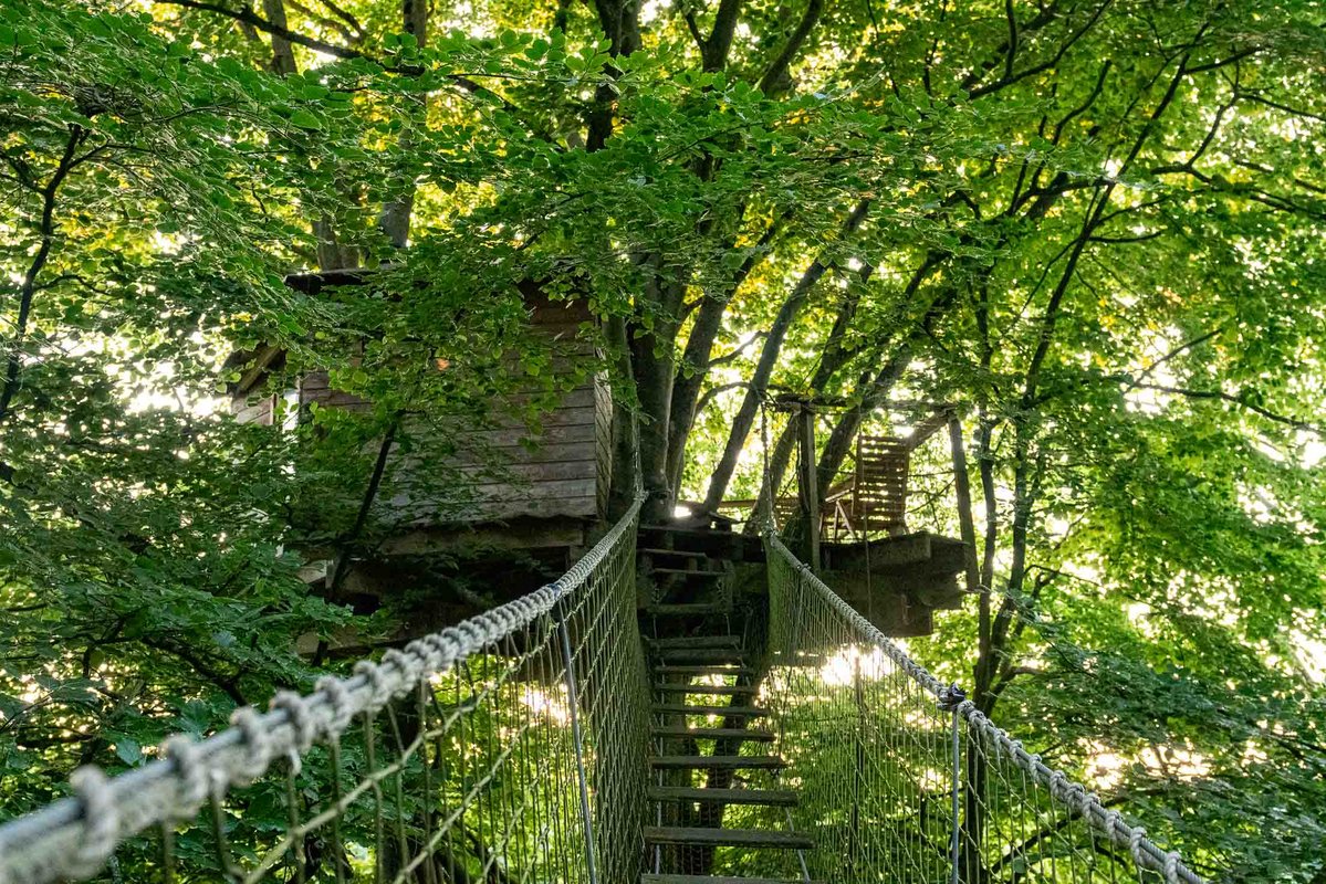 Cabane Epervier à Saint Pierre Azif (1)