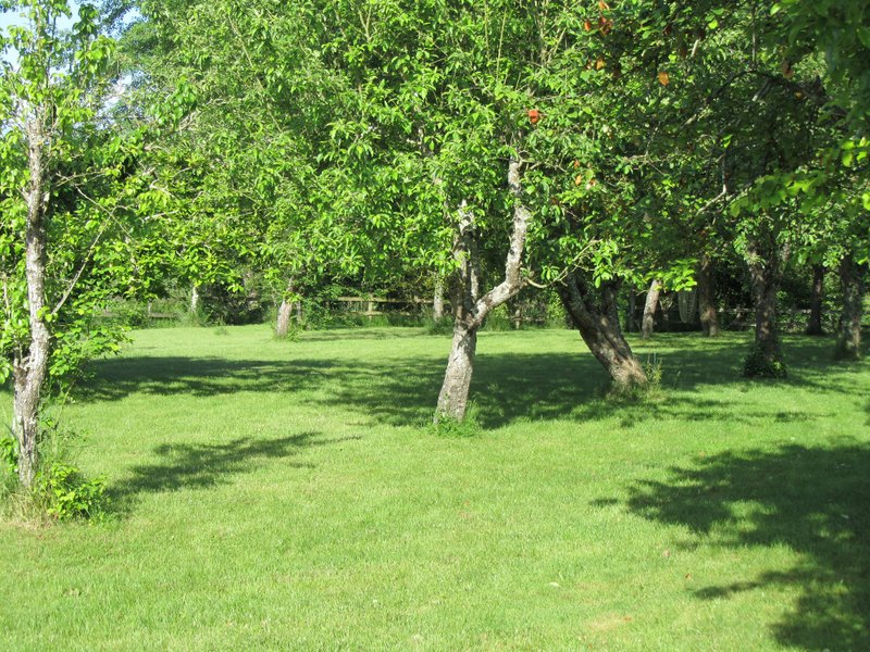 Domaine AbracadaRoom : Le Clos de Saires - Image 3