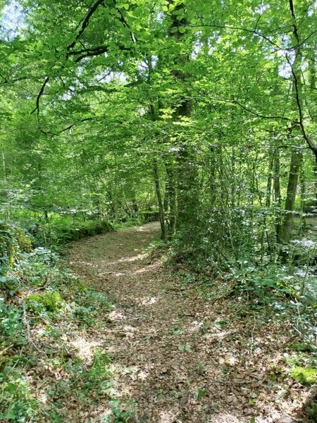 Domaine AbracadaRoom : La ferme des histoires mélangées - Image 5
