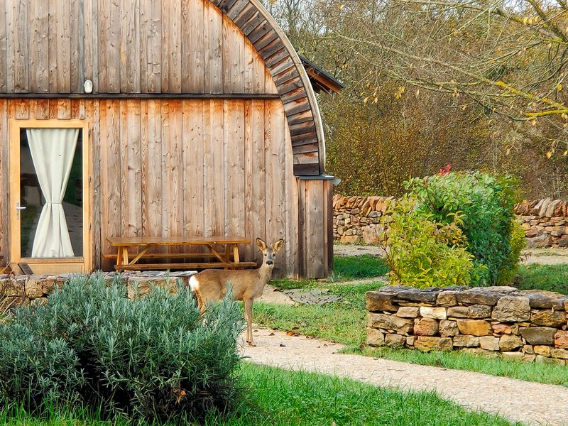 Hébergement AbracadaRoom : La Tente confort bois - Image 12