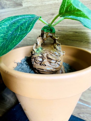 Domaine AbracadaRoom : Le refuge des mans-raudeurs - Image 28