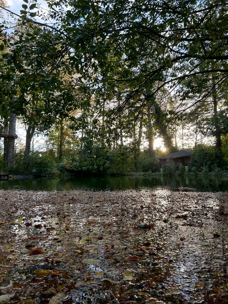 Domaine AbracadaRoom : Le domaine de Wail - Image 25