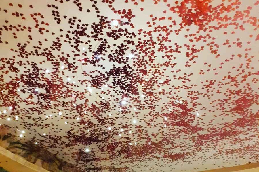 Gîte Spa Amazonia en pleine nature — photo 2