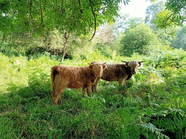 Domaine AbracadaRoom : Centre Agro Environnemental de Brassacou - Image 20