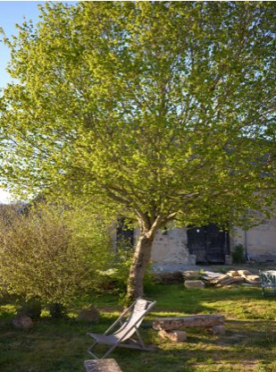 Domaine AbracadaRoom : Ferme des Ruats - Image 2