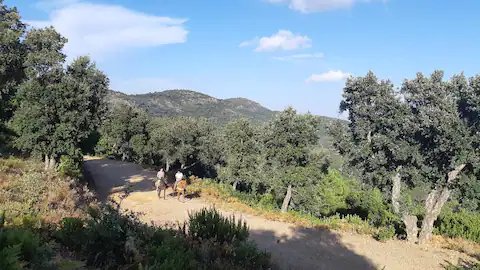 Hébergement AbracadaRoom : La Roulotte Verte - Image 14