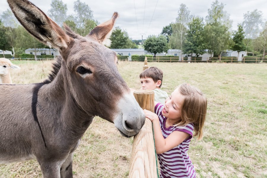 Domaine AbracadaRoom : Château de Lez-Eaux - Image 4