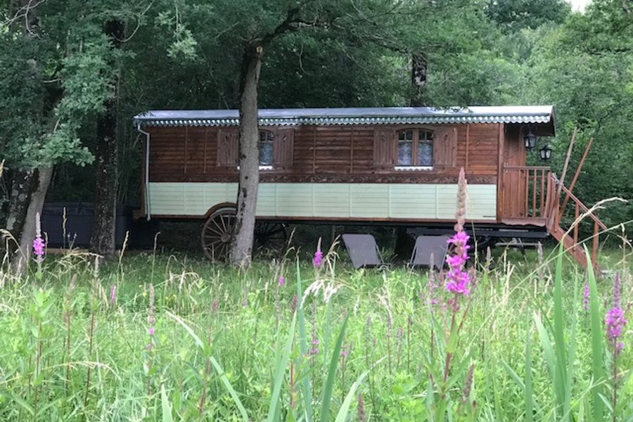 Roulotte Spa Forestière — photo 2