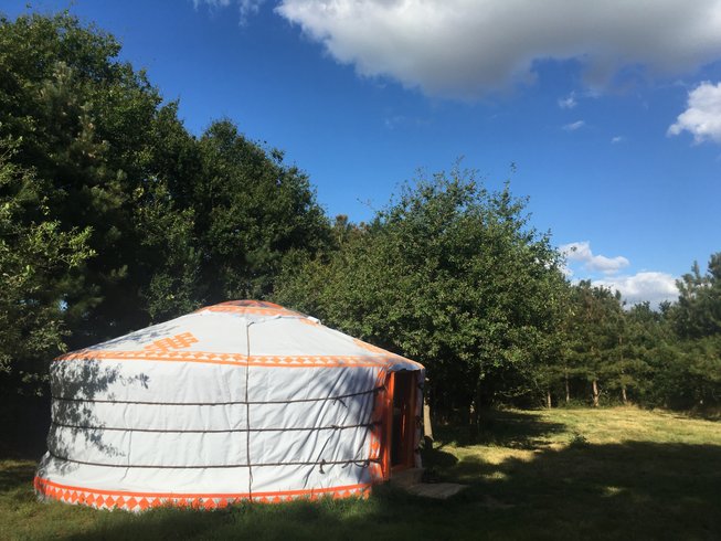 Hébergement AbracadaRoom : Yourte en pleine nature - Image 1