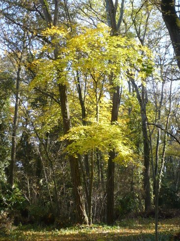Domaine AbracadaRoom : Domaine de Saint Jean - Image 7