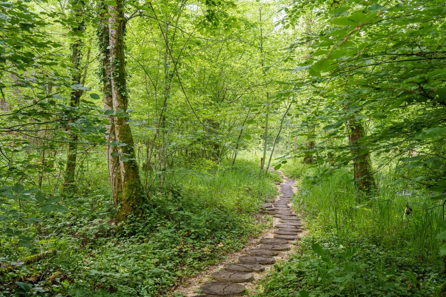 Hébergement AbracadaRoom : Cabane Corydalis & Balnéo - Image 22