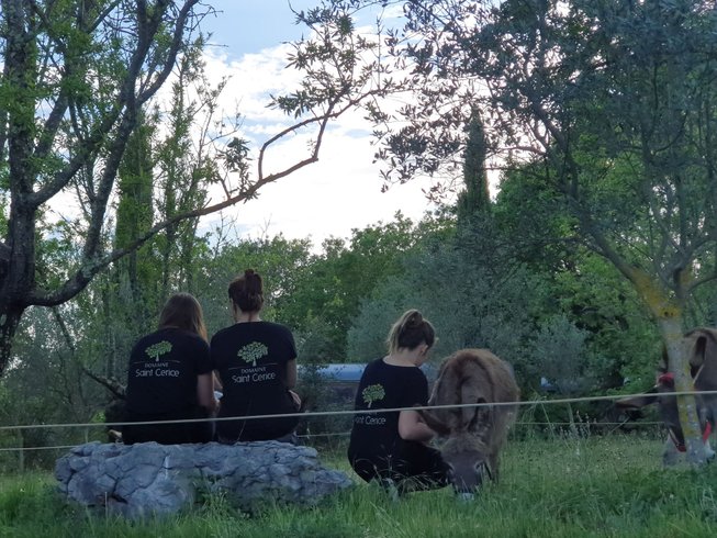 Hébergement AbracadaRoom : Carré d'étoile en Ardèche du Sud & Spa en option - Image 15