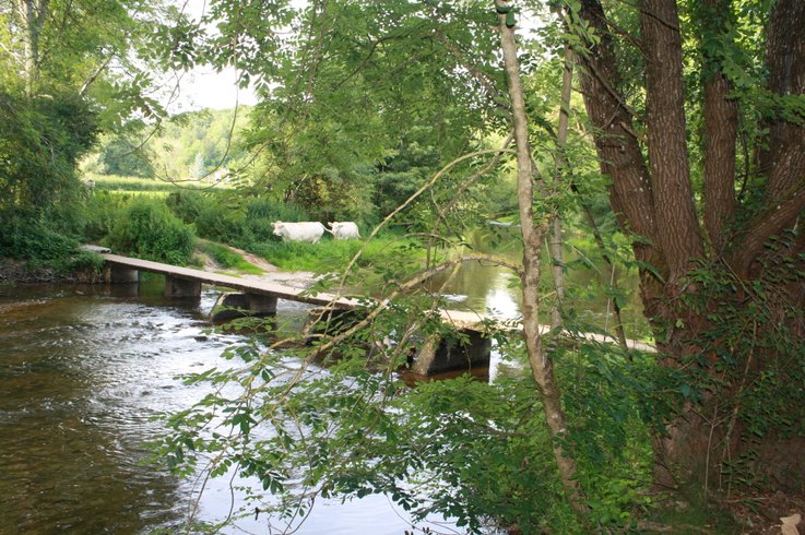 Domaine AbracadaRoom : L'Ecrin du Serein - Image 12