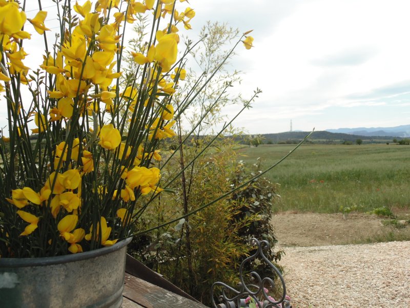 Domaine AbracadaRoom : Une Roulotte à la Campagne - Image 3