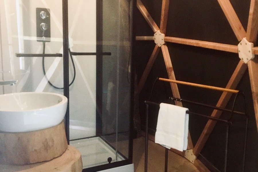 Jungle Dôme — photo 2