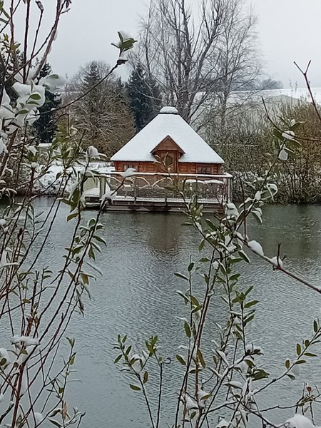 Hébergement AbracadaRoom : Le Kota Convivial - Image 2