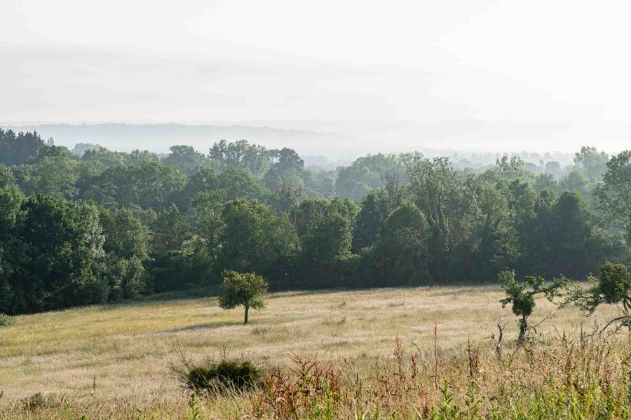 Domaine AbracadaRoom : Les Noctam'bulles - Image 8