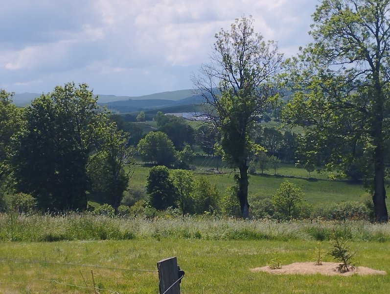 Hébergement AbracadaRoom : La Roulotte  Romantique du P'tit Buron - Image 14