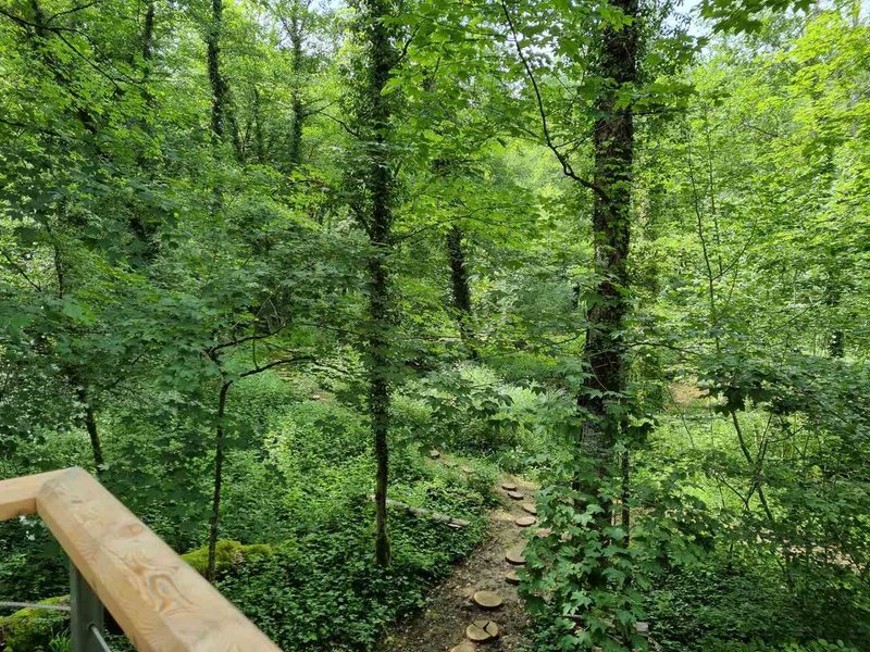 Hébergement AbracadaRoom : Cabane Corydalis & Balnéo - Image 23