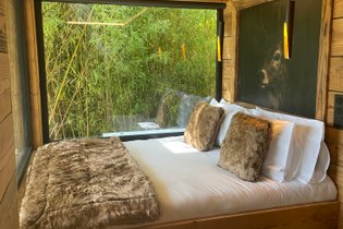 Suite Refuge • Écrin de luxe & bain nordique au bord du canal