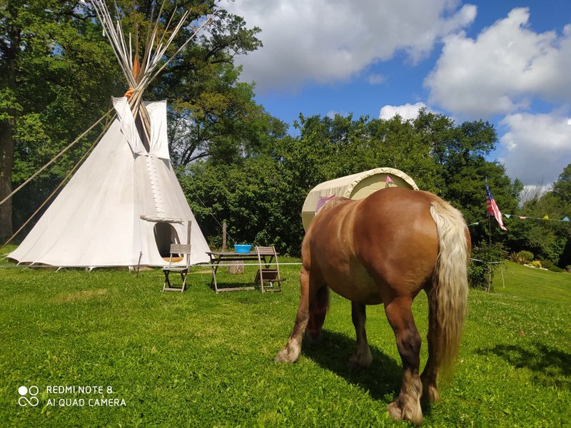 Hébergement AbracadaRoom : TIPI CHEYENNE - Image 5