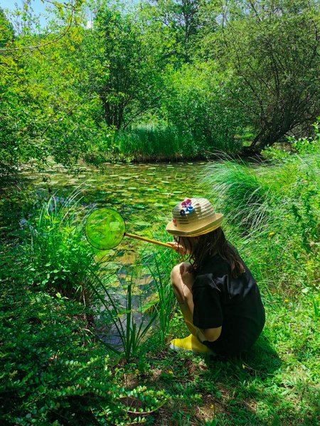 Hébergement AbracadaRoom : La Cabane du Héron, lodge sur pilotis, étang, nature, biodiversité - Image 21