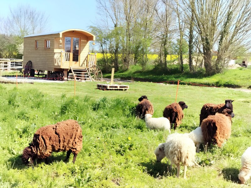 Domaine AbracadaRoom : LA ROULOTTE DE JANE - Image 1