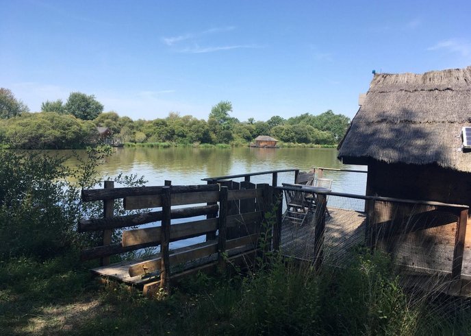 Hébergement AbracadaRoom : Cabane Duo flottante Oiseau du Paradis - Image 3