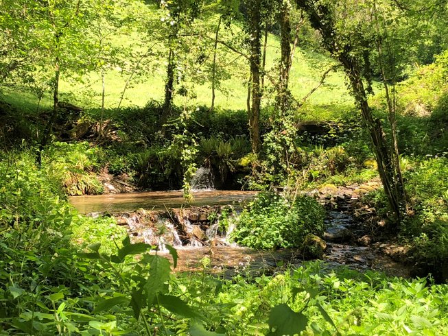 Domaine AbracadaRoom : Terra Bosca - Image 3