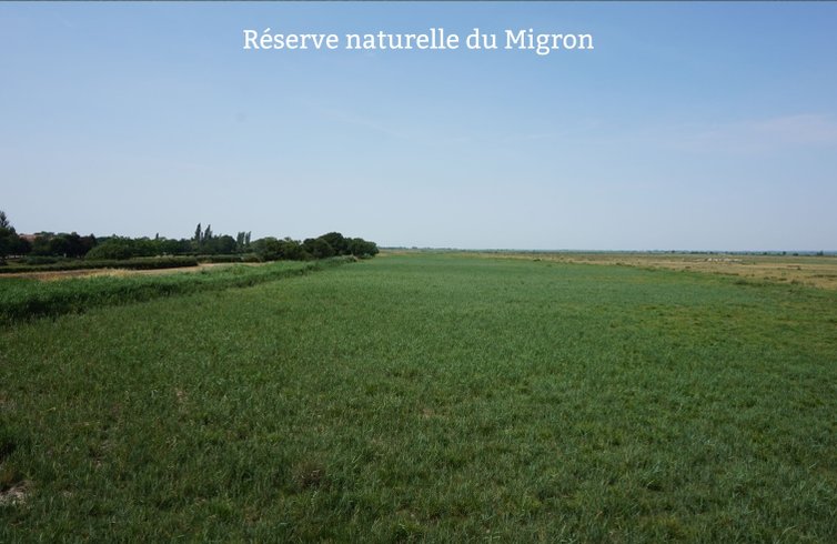 Domaine AbracadaRoom : Terre d'estuaire à Saint Viaud - Image 3