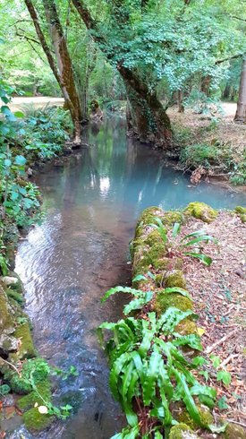 Domaine AbracadaRoom : Moulin des Merveilles - Image 9