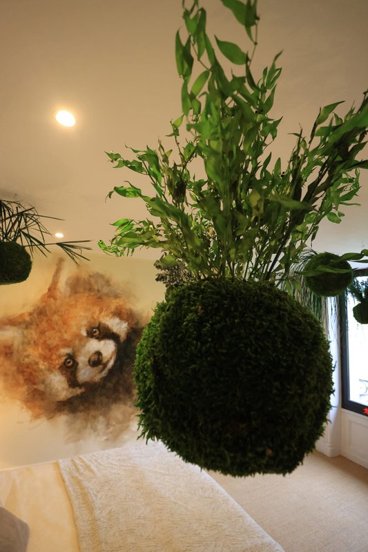 Chambre "Rêve de Panda roux" à Parentignat (5)