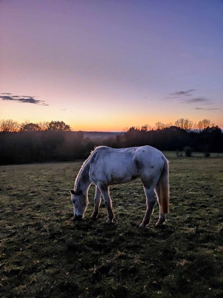 Domaine AbracadaRoom : La Roulotte Couzote - Image 2