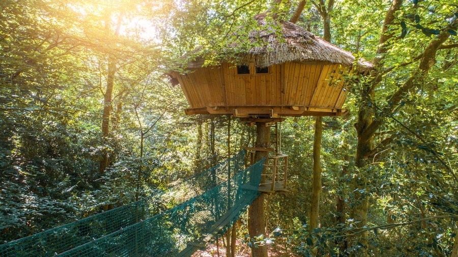 Hébergement AbracadaRoom : Cabane Ben Nevis - Image 1