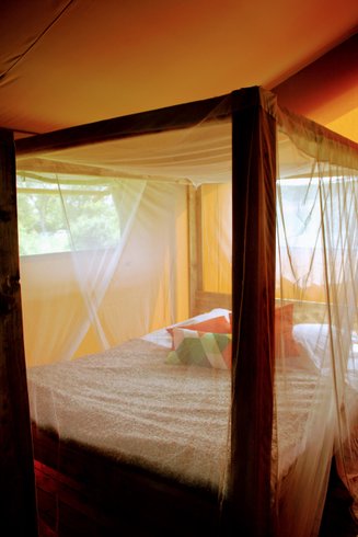 Hébergement AbracadaRoom : Tente Safari - Image 6