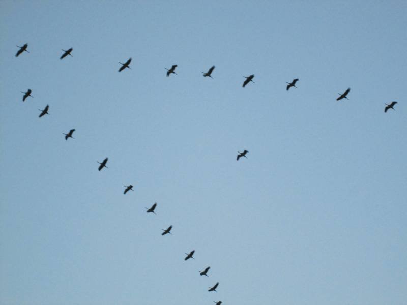 Domaine AbracadaRoom : Fuste des Garceaux - Image 8