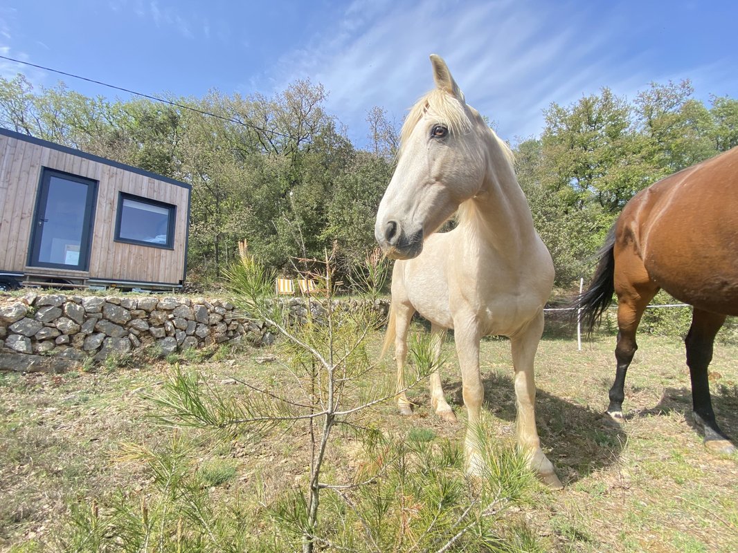 Les Restanques de Rioumard - Verdon à cheval à Varages (9)