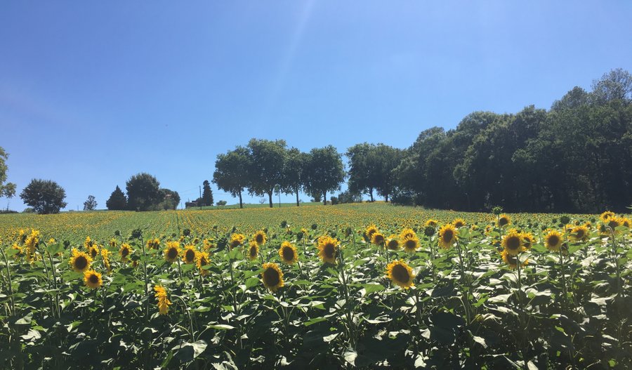 Domaine AbracadaRoom : Le Mas de Briquepierre - Image 10