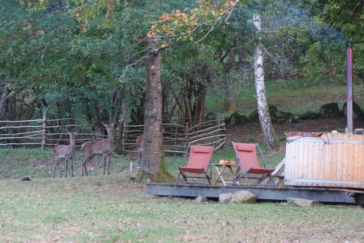 Domaine AbracadaRoom : Cabanes de Pyrène - Image 4
